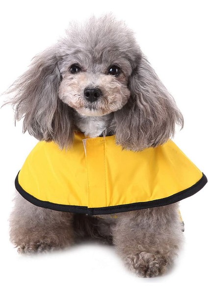 Köpek Yağmurluk (Yurt Dışından) modelleri