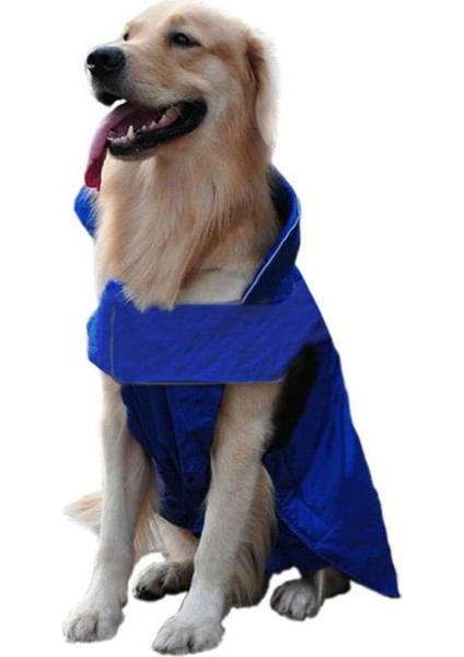 Köpek Yağmurluk (Yurt Dışından) modelleri