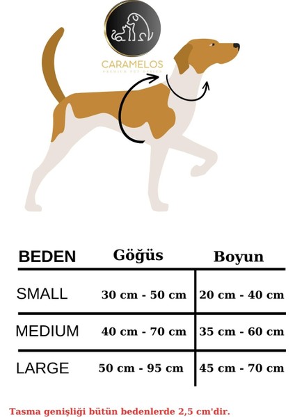 Caramelos Köpek Tasma Seti Göğüs Boyun Gezdirme