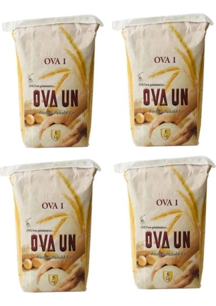 5 kg Pastalık Böreklik Lüks Un x 4 Adet