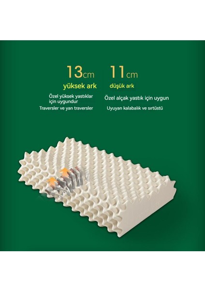 Yetişkin Masaj Eğrisi Lateks Yastık (Yurt Dışından)