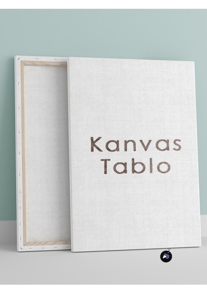 Soyut Karma Şekiller Üçlü Kanvas Tablo Seti, Premium 3'lü Canvas, 3 Parçalı Duvar Tablosu