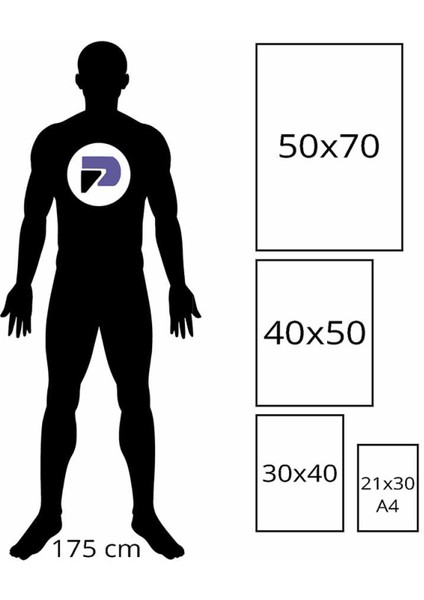 Renkli Yaprak Koleksiyonu-3 Üçlü Kanvas Tablo Seti, Premium 3'lü Canvas, 3 Parçalı Duvar Tablosu modelleri