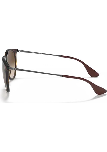 RB 4171 86513 54 Erika Unisex Kahverengi Güneş Gözlüğü modelleri