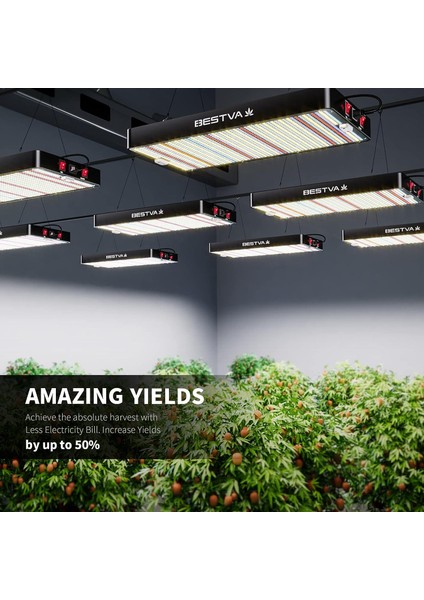 Dc High-Yield Series 1000W LED Full Spektrumlu Bitki Işığı