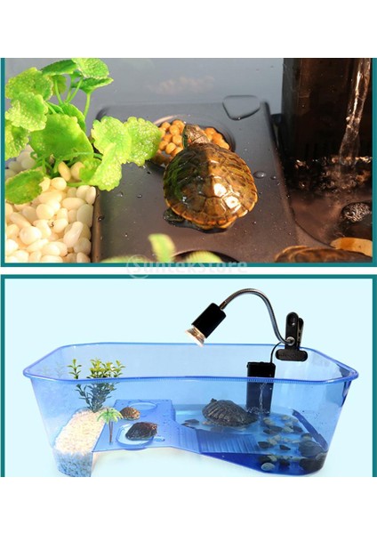 Basking Rampası ile Sürüngen Vivarium Kutusu Akvaryum Tankı Wt/bu/bk Siyah (Yurt Dışından)