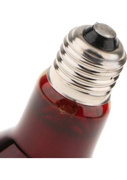 2pcs 40W-100W E27 Base Sürüngen Uva Isıünümü Sürüngen Işığı 75W (Yurt Dışından)
