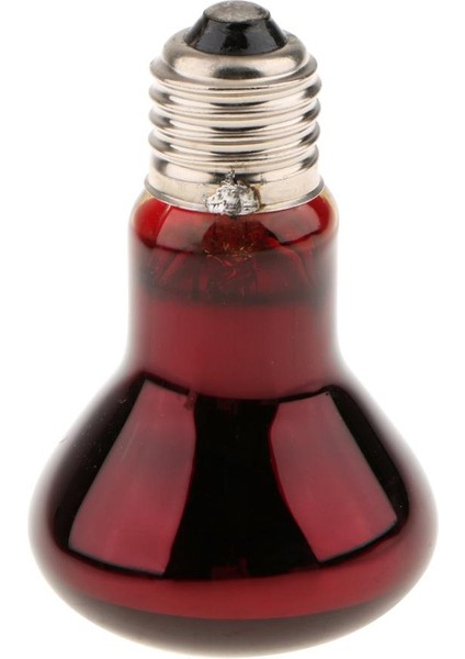 2pcs 40W-100W E27 Base Sürüngen Uva Isıünümü Sürüngen Işığı 75W (Yurt Dışından)