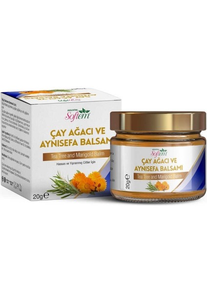 Bitki Diyarı Çay Ağacı ve Aynısefa Balm 20G