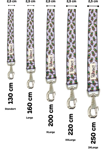 Stardog Köpek Gezdirme Kayışı