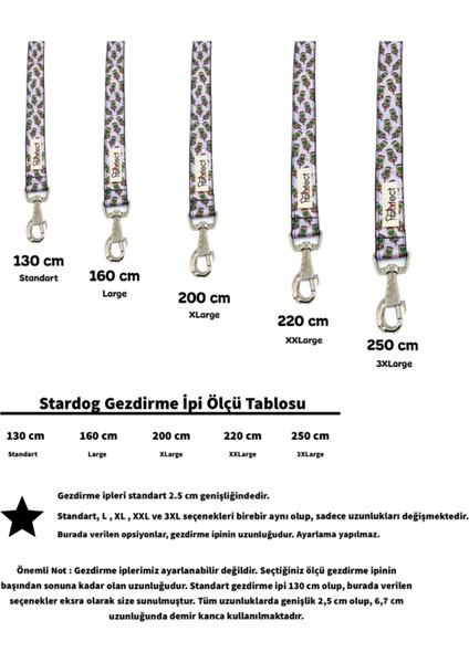 Stardog Köpek Gezdirme Kayışı