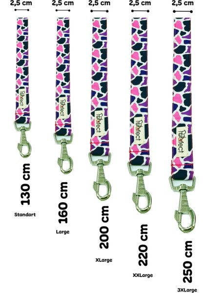 Fancy Force Köpek Gezdirme Kayışı