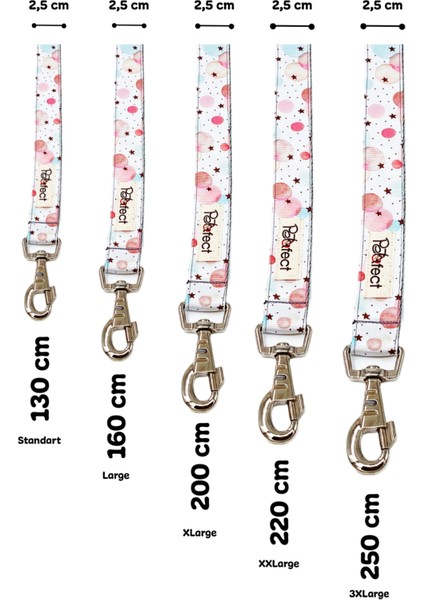 Bubble Free Köpek Gezdirme Kayışı