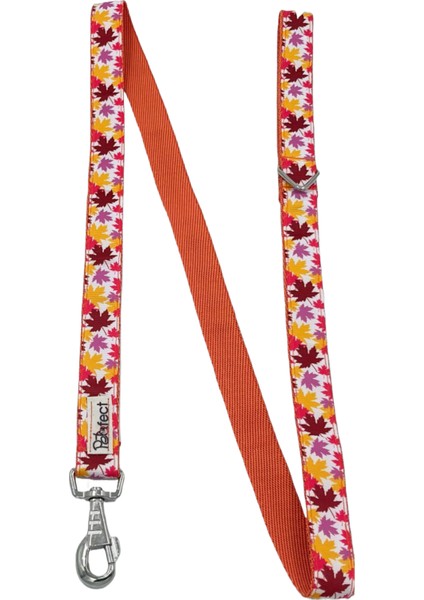 Lovely Time Köpek Gezdirme Kayışı