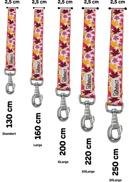 Lovely Time Köpek Gezdirme Kayışı