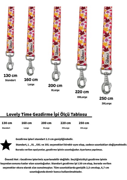 Lovely Time Köpek Gezdirme Kayışı