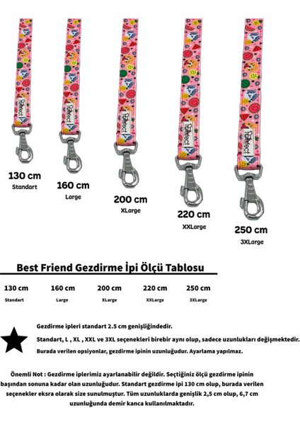 Best Friend Köpek Gezdirme Kayışı