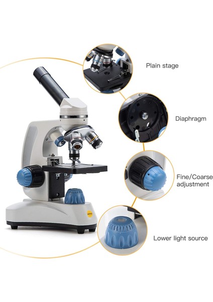 SW150, Bileşik Öğrenci Mikroskobu, 40X-1000X Büyütme