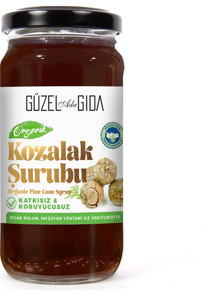 Organik Kozalak Şurubu 2X230 ml fiyatları