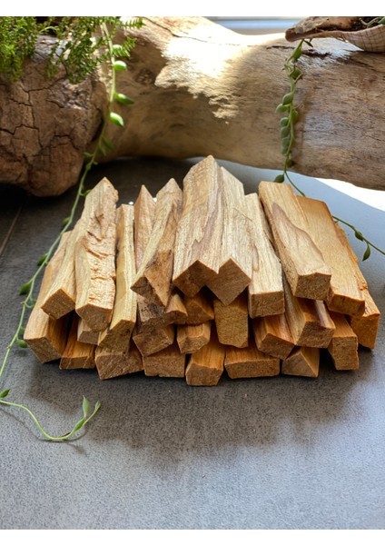 Palo Santo Ağaç Tütsü- Peru Menşeili