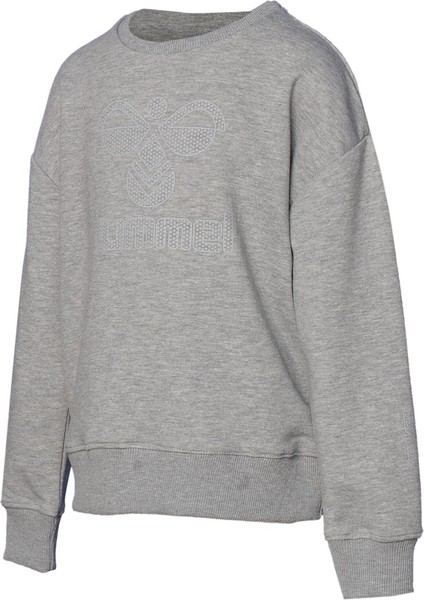 Hmlcarter Çocuk Gri Sweatshirt 921667-2006
