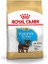Yorkshire Terrier Junior Yavru Köpek Maması 1.5 kg 1