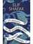 Le Roi Lion - Elif Shafak 1