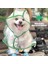 Köpek Yağmurluk (Yurt Dışından) 2