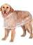 Köpek Yağmurluk (Yurt Dışından) 1