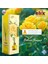 Elıx Doğal Çiçek Esansları Içeren, Ev - Ofis Kokusu 100ML. - Bergamot, Gardenya 3