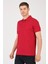 Levi Pamuk Regular Fit Erkek Polo Tshırt 2