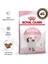 Yavru Kedi Maması 4 kg Kitten Cat Food 1