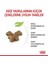 Yavru Kedi Maması 4 kg Kitten Cat Food 3