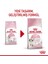 Yavru Kedi Maması 4 kg Kitten Cat Food 5