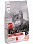 Adult Somonlu Yetişkin Kedi Maması 10 kg - Farmapets 1