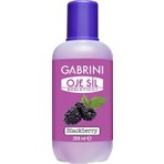 Gabrini Besleyici Aseton 200 ml Mor Renkli Onarıcı Tırnak Bakımı Ürünü (BÖĞÜRTLEN)