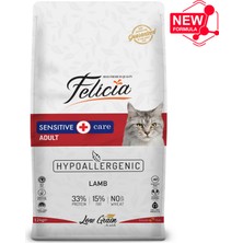 Felicia Kuzu Etli Yetişkin Kedi Maması - 12 kg
