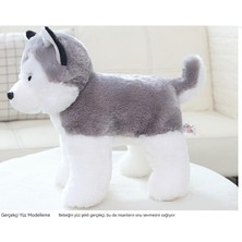 Maskot 40CM Sevimli Köpek Yavrusu Husky Peluş Oyuncak (Yurt Dışından)