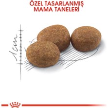 Royal Canin Sterilised Kısırlaştırılmış Kedi Maması 10 kg