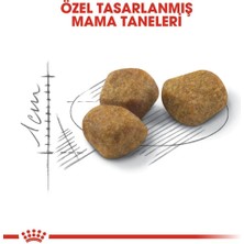 Royal Canin Indoor+7 Yaşlı Kedi Maması 3.5kg