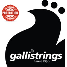 Gallistrings RA1152 Light Special Akustik Gitar Teli