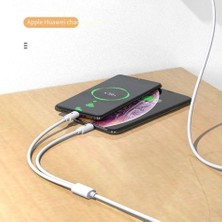 Apera BN93 iPhone Lightning ve Type-C 2in1 Kablo 5 Amper Hızlı Şarj Fast Charging