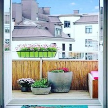 özgazi 80 Cm x 2.50 Metre Kamış Hasır Balkon Çiti Bahçe Çiti Bambu Çit Dekorasyon