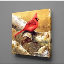 Technopa KIRMIZI KUŞ KANVAS TABLO - 50x50cm