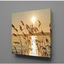 Technopa ÇİÇEK TARLASI KANVAS TABLO - 100x100cm