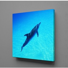 Technopa YUNUS BALIĞI KANVAS TABLO - 140x140cm