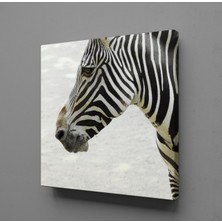 Technopa ZEBRA KAFASI KANVAS TABLO - 90x90cm