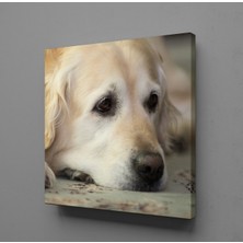 Technopa BEYAZ MASUM KÖPEK KANVAS TABLO - 100x100cm