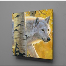 Technopa BEYAZ KURT KANVAS TABLO - 60x60cm