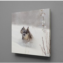 Technopa KAHVERENGİ KURT KANVAS TABLO - 130x130cm